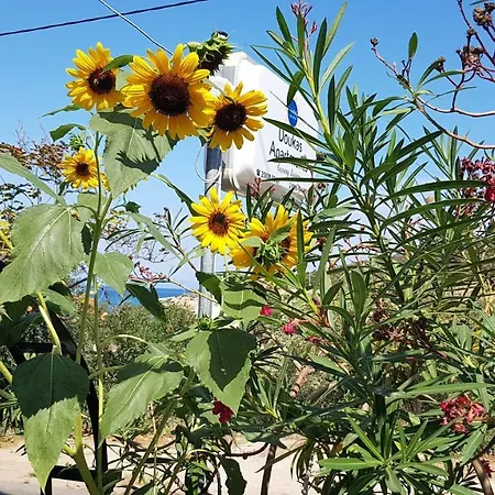 Doukas & Διαμέρισμα