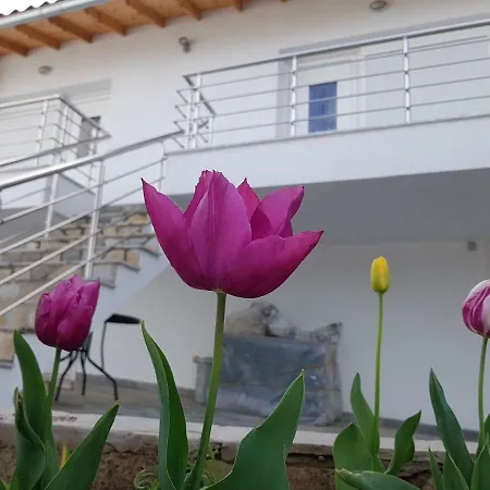 Doukas & Apartman Skála Marión