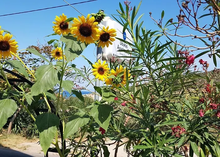 Doukas & Apartamento