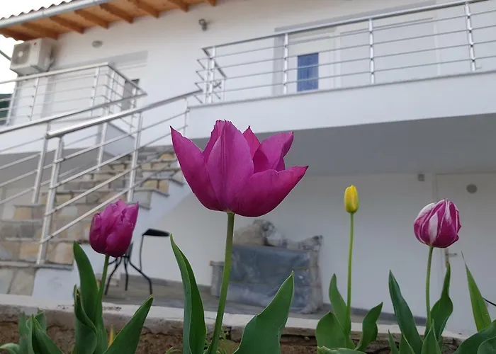 Doukas & Apartamento Skála Marión